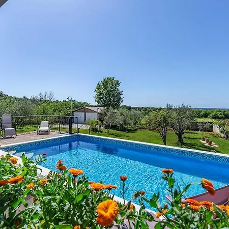 Novela By Istrialux *