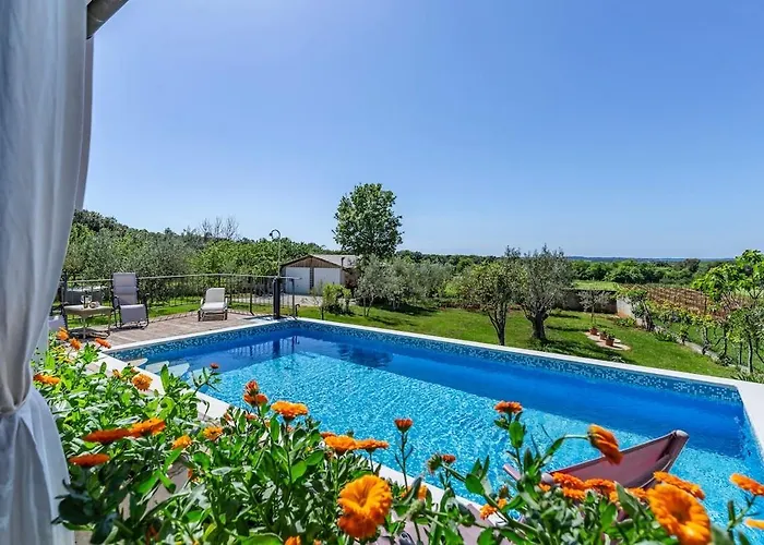 Novela By Istrialux *